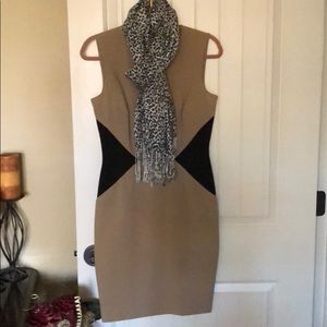 Calvin Klein Black and Tan career dress